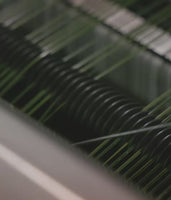 Guard 2 — Total Blackout Blinds